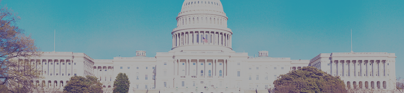 U.S. Capitol Building