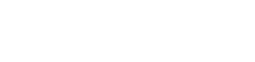 DSI Tech Customer Success Program Logo